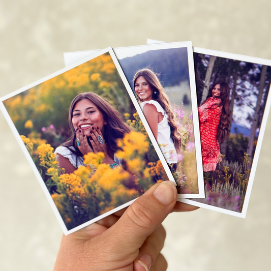 Bold Mag (Large) Set of 6